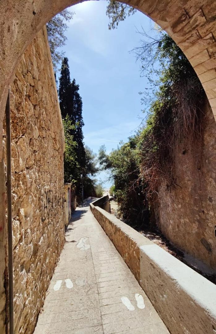 Le Coq Massolin Roquebrune-Cap-Martin Exteriör bild