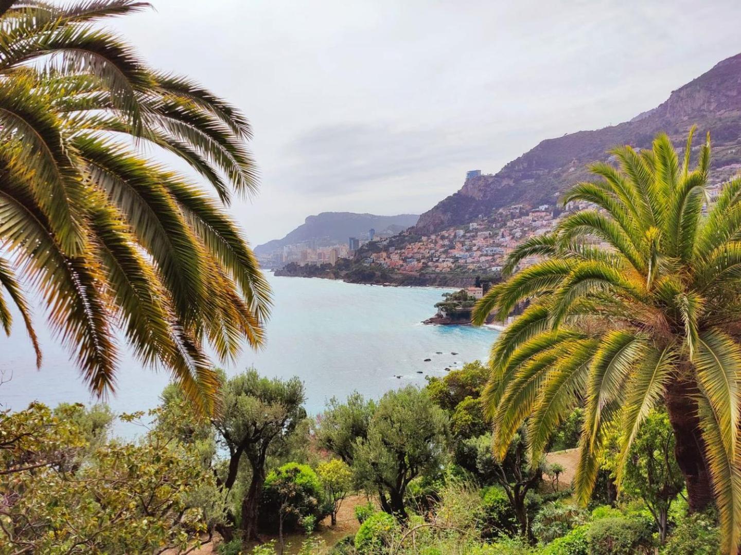 Le Coq Massolin Roquebrune-Cap-Martin Exteriör bild